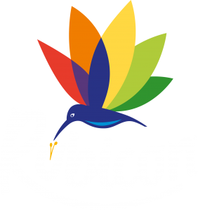 Rubicon